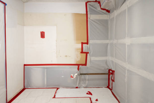 Professional Mold Inspection, Removal & Remediation in Kiryas Joel, NY